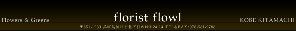フラワーアレンジメント、花束（ブーケ）,プリザーブドアレンジ、コチョウランの販売。お誕生日、記念日などフラワーギフトは神戸の花屋フローリストフロウルよりお届けします。